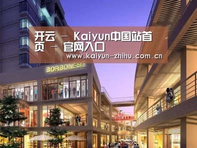 案例展示一